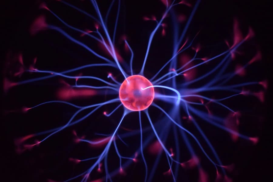 The Role of Neural Pathways